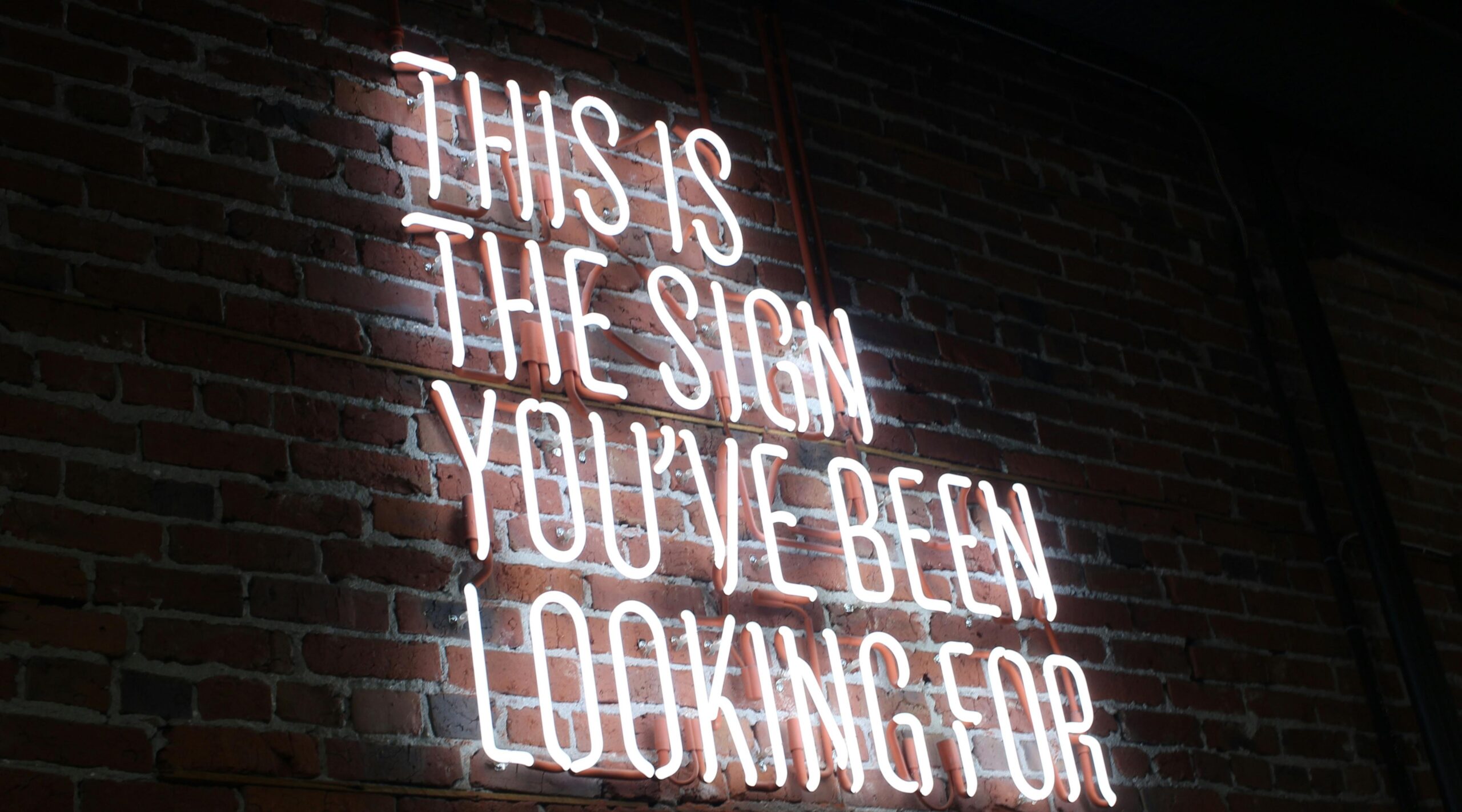 φωτεινά γράμματα σε τούβλινο τοίχο που γράφουν "This is the sign you've been looking for"